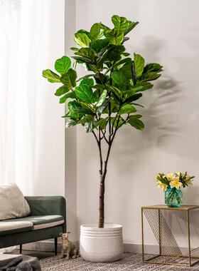 新款仿真植物琴客仿QYR-1叶假树盆栽室内厅大型生绿植造景装榕饰