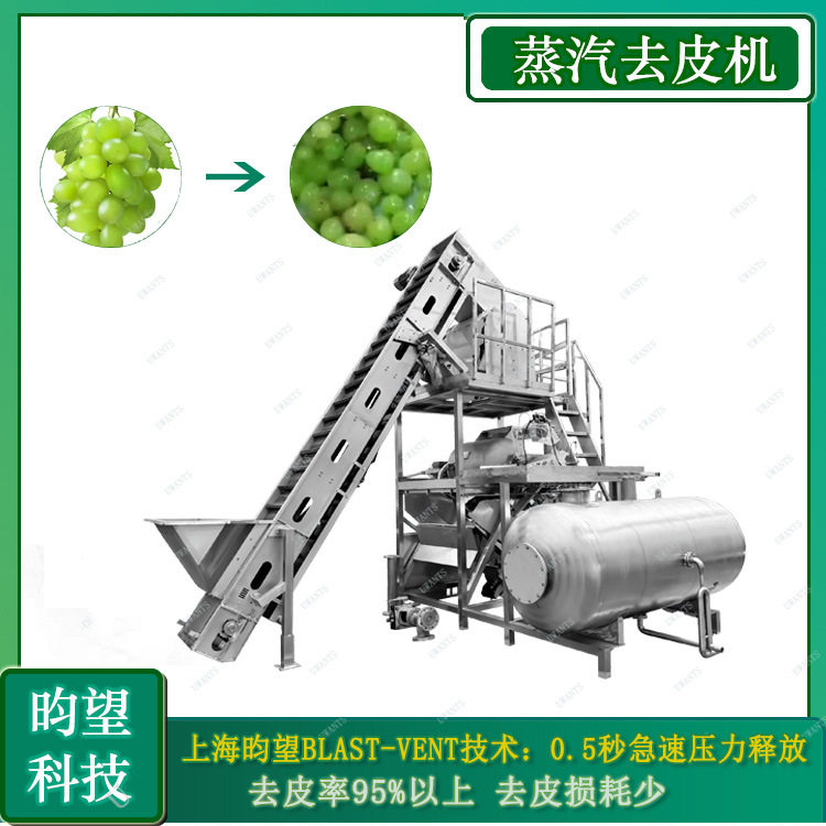 上海昀望葡萄去皮机巨峰葡萄红提葡萄黄桃山楂蒸汽去皮设备