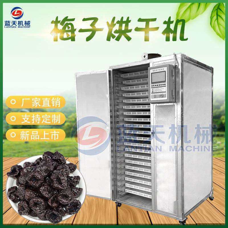 小型梅子干烘干机 电加热青梅西梅烘干机 梅子肉烘干设备一体机,玩具/童车/益智/积木/模型,毛绒/玩偶/公仔/布艺类玩具,淘宝优惠券,粉丝福利购,淘宝优惠卷