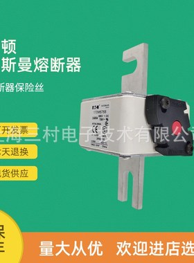 原装快速熔断器保险丝170M6783 170M6784 170M6785 170M6786
