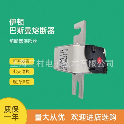 原装快速熔断器保险丝170M6783 170M6784 170M6785 170M6786
