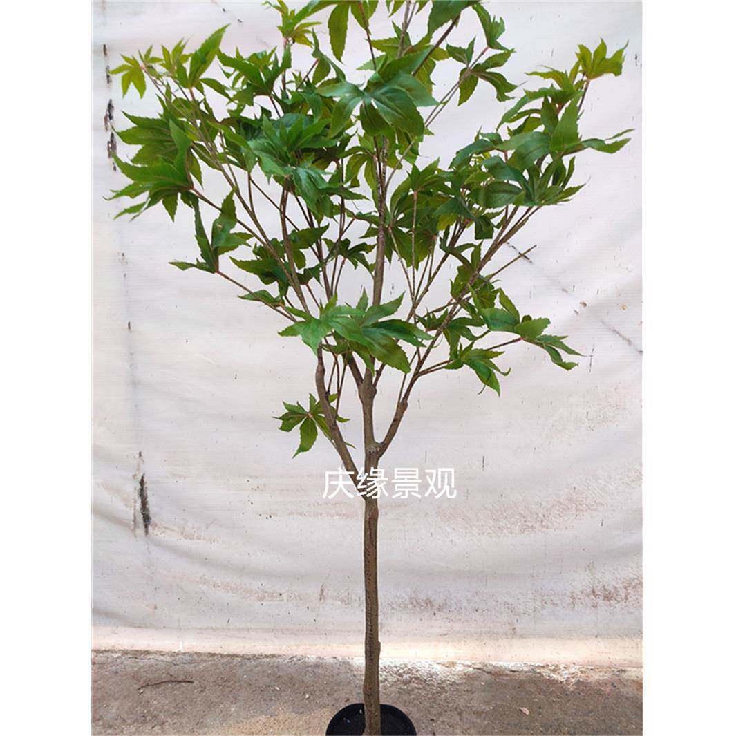 仿真蓖麻树乌桕树紫荆树假树农家乐落地盆栽植物室内景池造景庭院