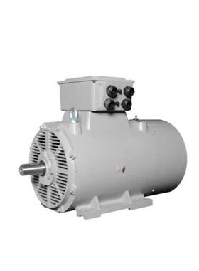 优势供应德国Lammers低压交流电机中高压电机等全系列产品