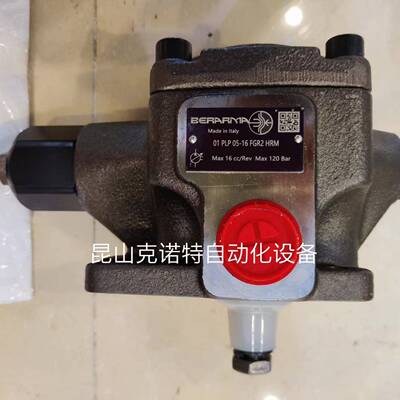 01PLP2-40FLRM意大利布莱玛BERARMA叶片油泵