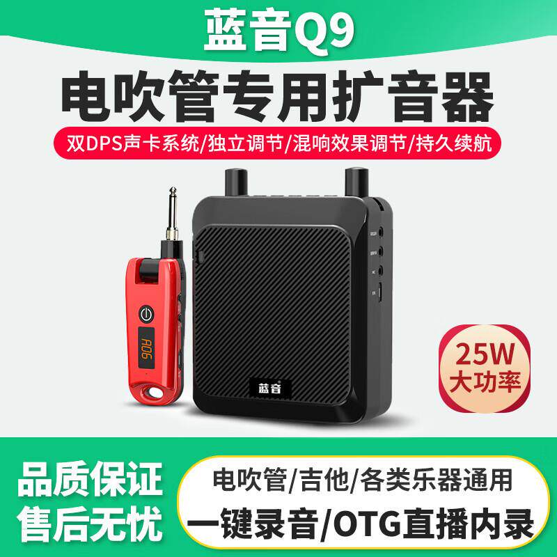蓝音Q9电吹管专用小音箱直销便携乐器无线扩音内录