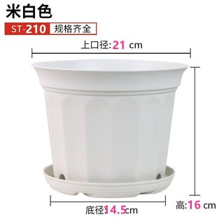 新款霍伦盆矮款塑料花盆家用加仑盆树脂球根盆朱顶红专用盆源头厂