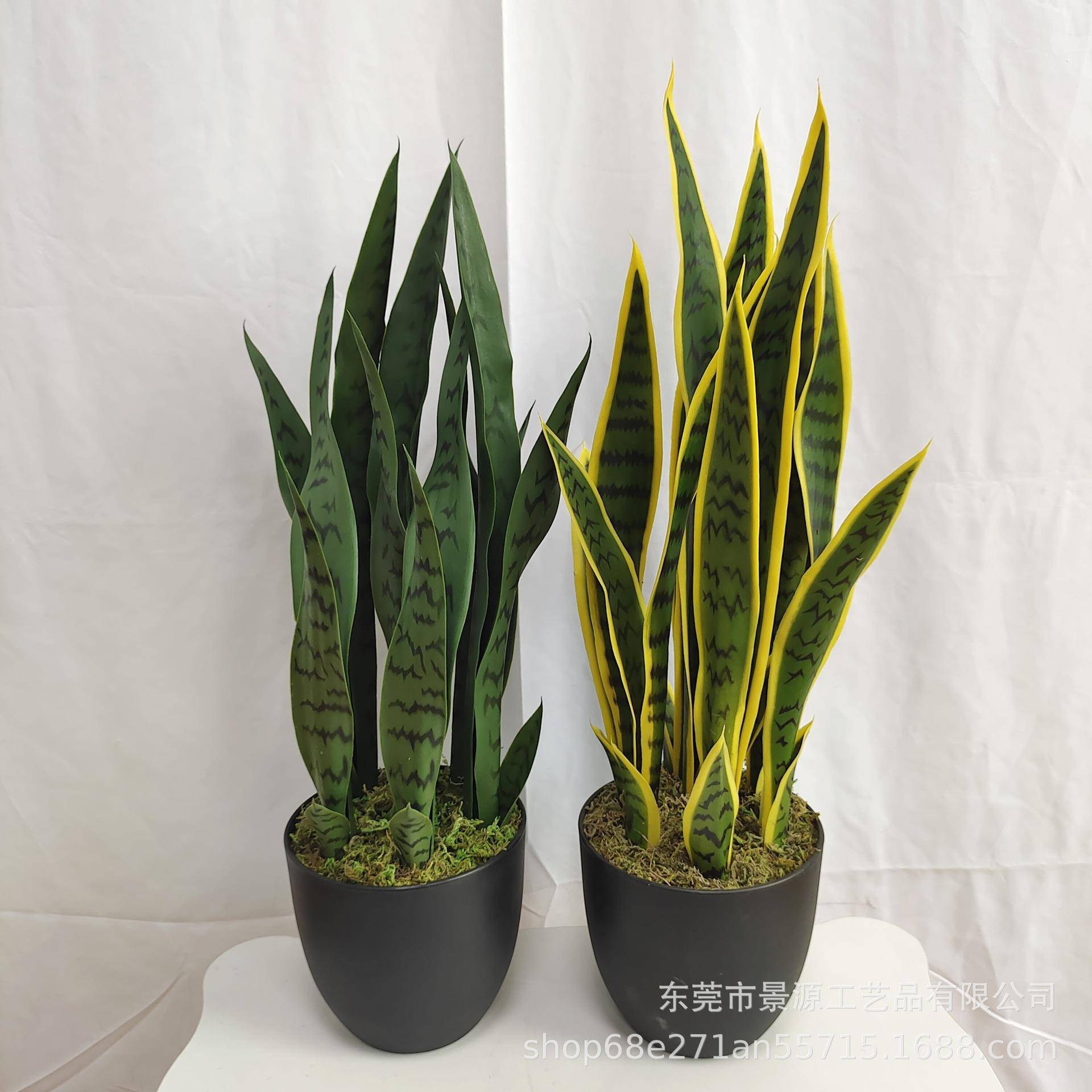 虎纹兰盆栽芦荟盆景家居办公室摆件橱窗造景绿植假花仿真绿植摆件