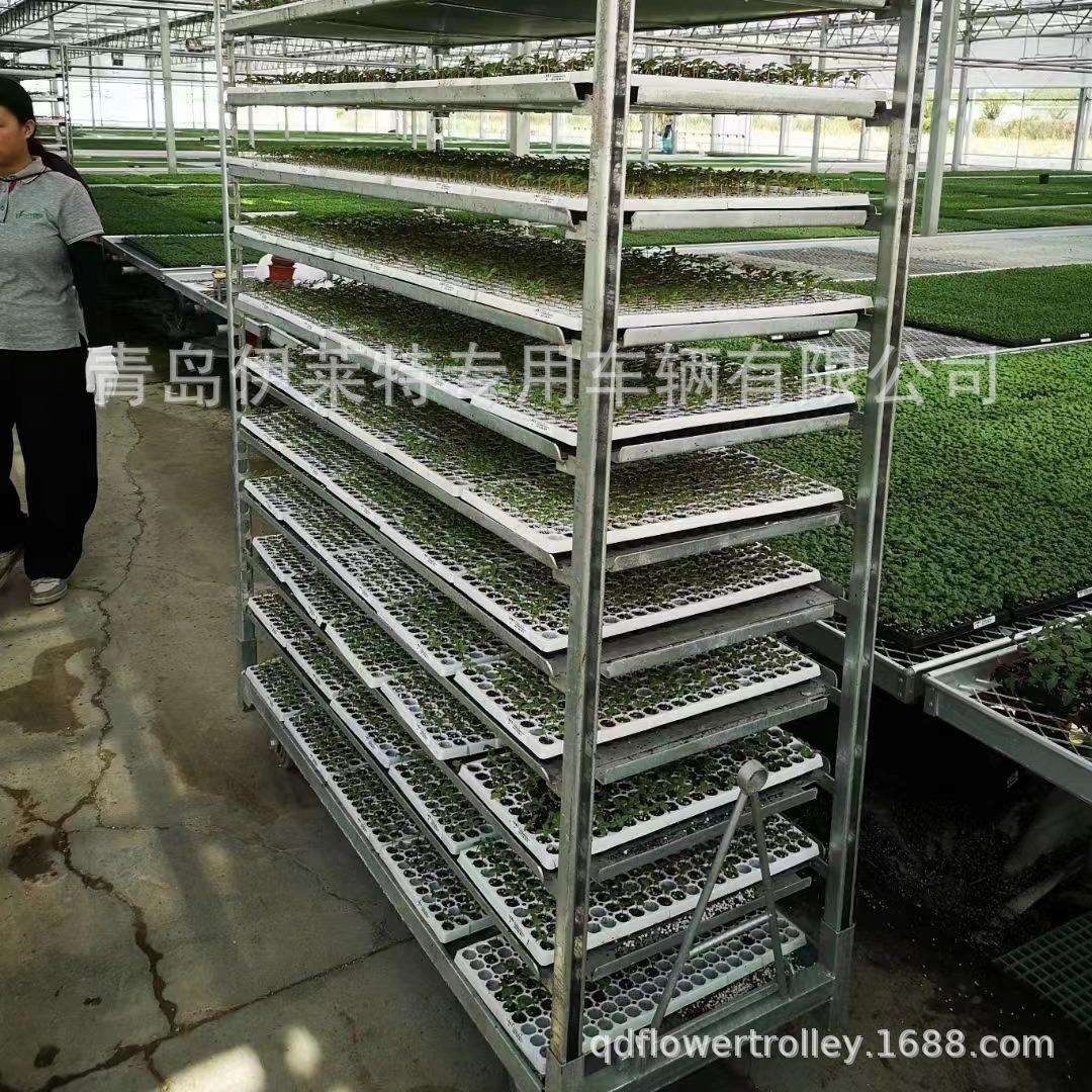 直销花卉催芽蔬菜育苗车，可调节周转车，多层催芽苗车