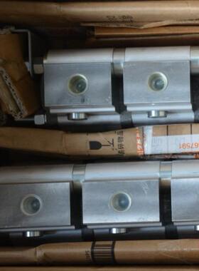 意大利RONZIO罗茨02ZAG06E034S（排量06）全系齿轮泵 液压马达