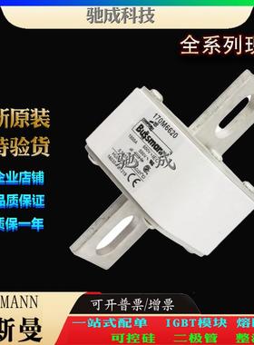 巴斯曼170M6620 170M6621 170M6629 长期出厂价格 紧凑熔断器
