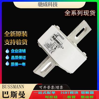 巴斯曼170M6620 170M6621 170M6629 长期出厂价格 紧凑熔断器