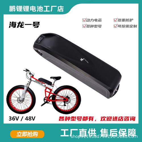 海龙款山地改装车海龙一号36V/48V雪地车山地车锂电 E-bike电池