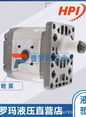 HPI泵C5082379，HPI泵P3BAN3025HL10B03N，HPI齿轮泵，HPI油泵