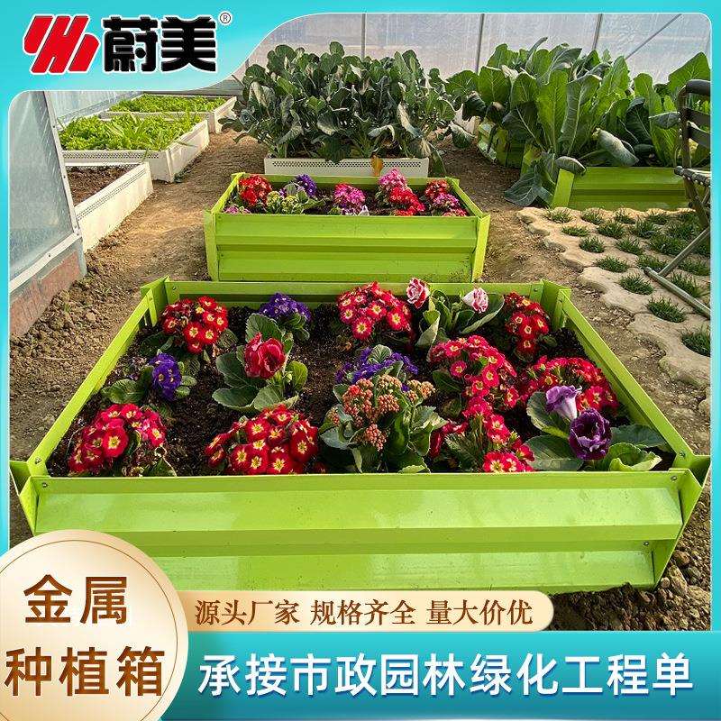 金属果蔬培育箱阳台菜园种菜养花家庭无底种植盆不生锈重复用种菜