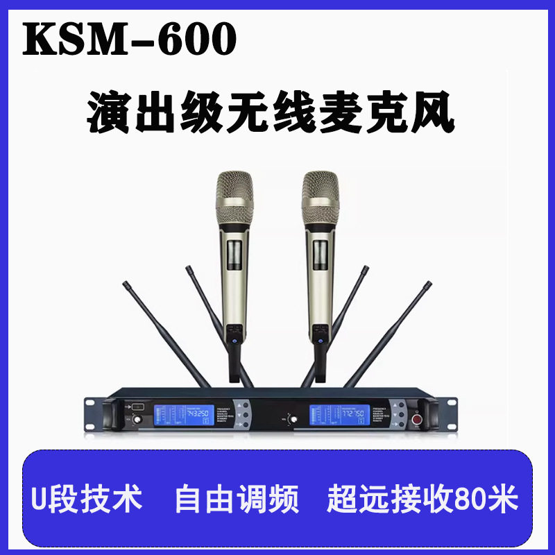 演出专业话筒一拖二无线麦克风可调频KTV舞台KTV唱歌会议双声道