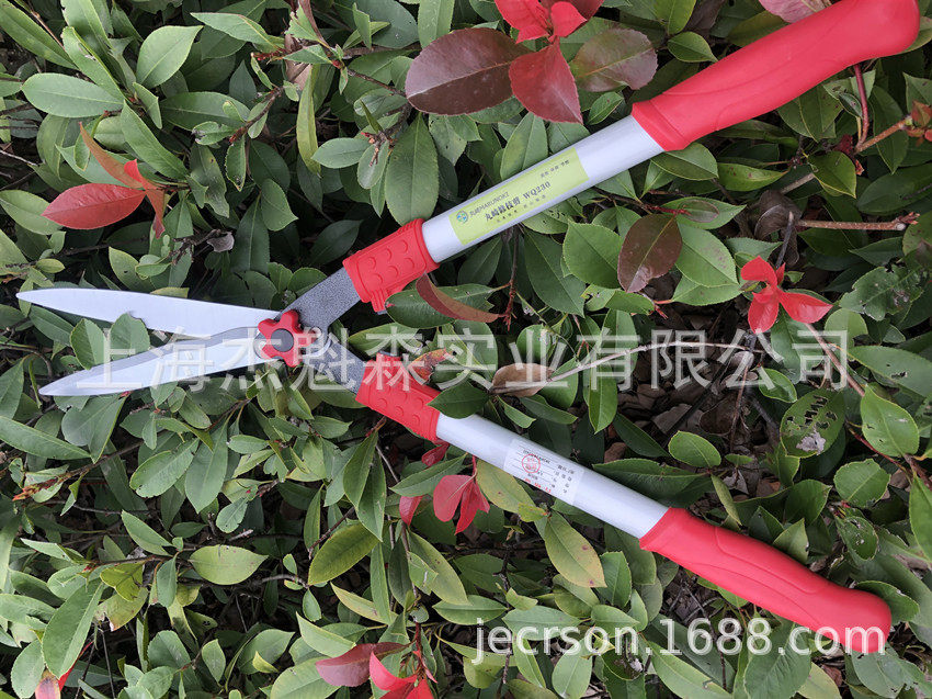 丸崎WQ230大平剪园艺剪刀草坪修剪园林修枝剪整篱剪剪花剪粗枝