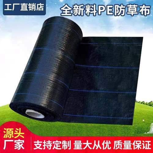 75克90克PE防草布除草布园艺地布地钉地膜抗老化果园盖草抑草布