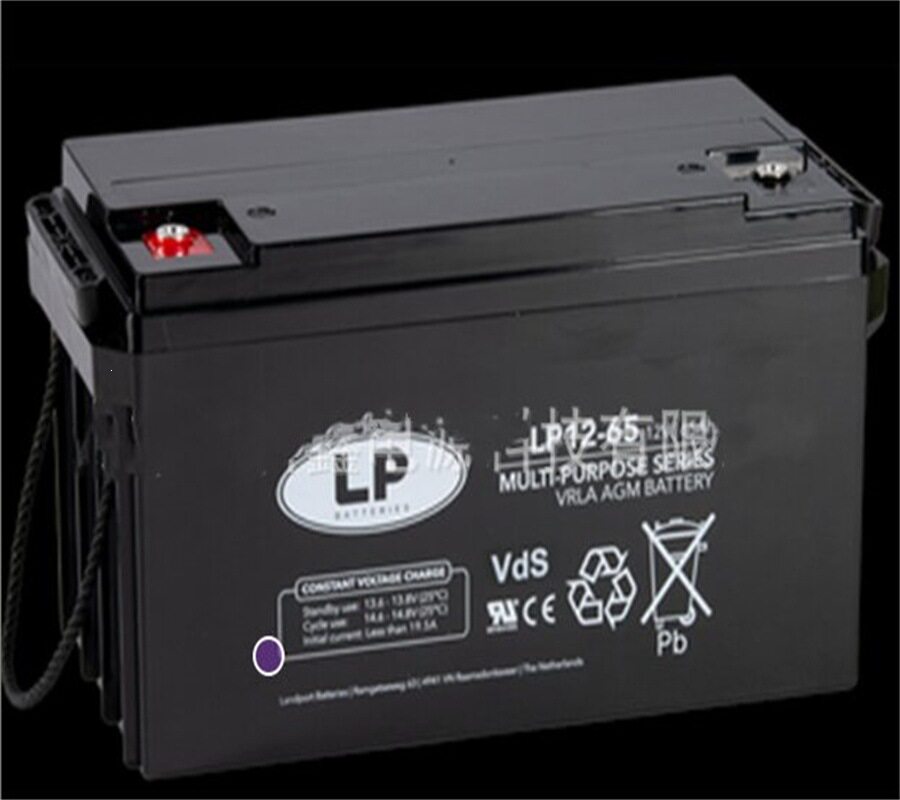 LP蓄电池LP12-65纯铅隔板绿色环保型现代信息服务业UPS不间断电