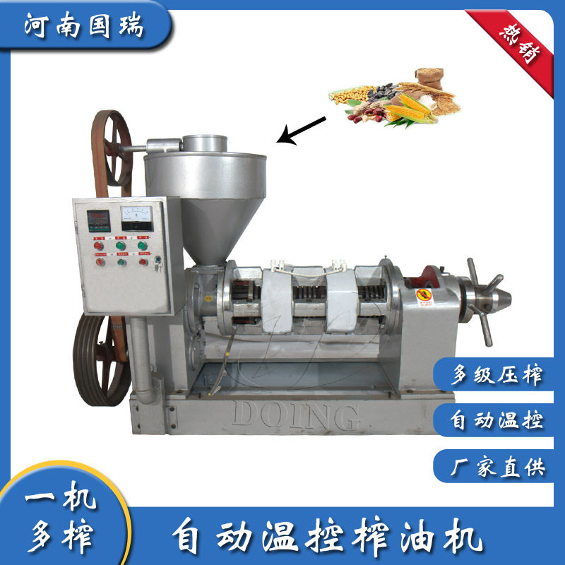 国瑞厂家现货自动温控榨油机压榨大豆油设备全自动大豆榨油机