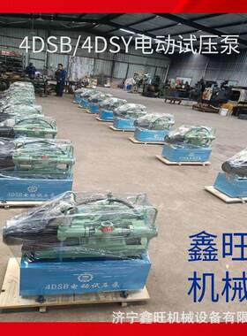 供应4DSB电动试压泵管道打压密闭容器测试4缸高速
