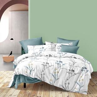 250cm 230cm床单230 欧典梦娜N T23101亲肤棉四件套被套200