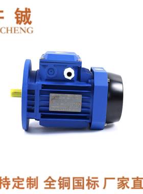 供应YE2系列铝壳电机YS7124-370WB14RV铜线电动机