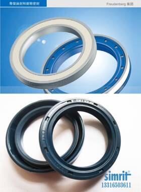 B5AUSLX2德国SIMR1IT进口CFW7-/130-28骨ZUG架油封