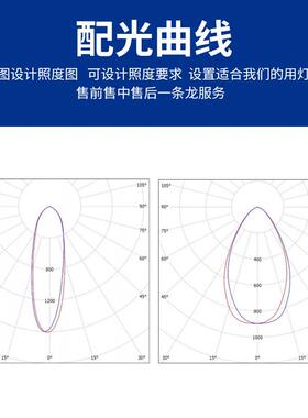 亚牌ZY01LE灯D塔吊射光7灯程VVA远高亮芯户外挡水塔吊工地投光灯