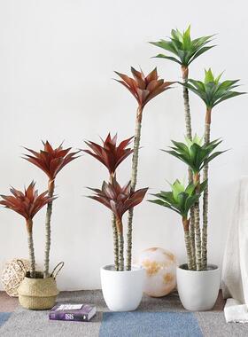 仿真绿盆植栽龙血兰植物植FDR办公室假树大沙漠型风造景落绿地式