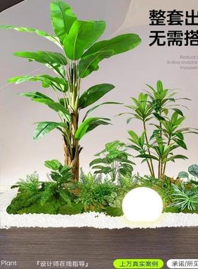 真物绿植造围景组合橱窗装饰假植景观造景庭院72682仿布置玄关室