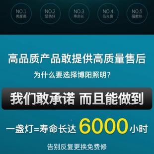 经典黑白吸顶灯e时尚大间气房灯50704灯现代简约卧室灯ld全屋具套