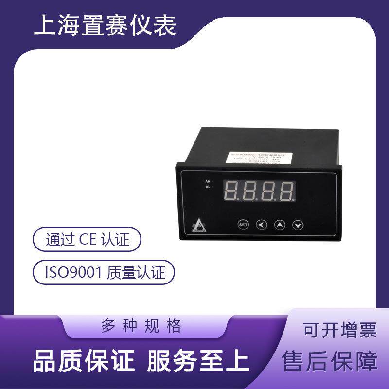 数显仪表温度压力ZSH1TC显示仪表数字显示报警仪标配2点报警输出
