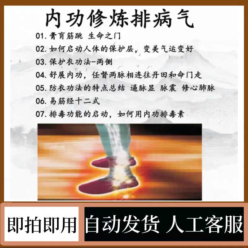 内功修炼排毒排病气易筋经十二式武功武术养生强身功法视频教程