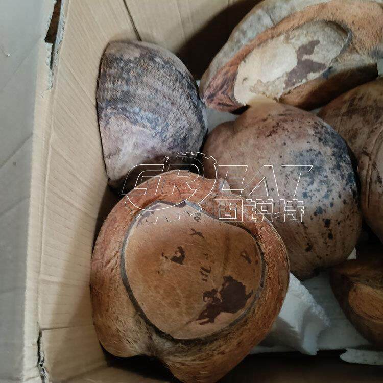 椰子硬壳打片机带硬壳椰皮粉碎机椰皮打散机椰丝提取机