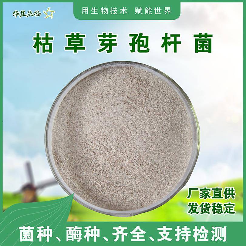 枯草芽孢杆菌1000亿包邮水产净水改底农用种植饲用养殖通用原粉