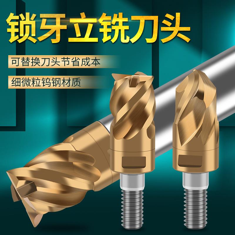 德国硬质合金钨钢铣刀锁牙式内螺纹防震刀杆可换刀头刀杆832mm
