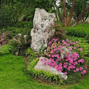 大小型景观河溪石草坪造景石头河边风景鹅软石绿地摆件石头