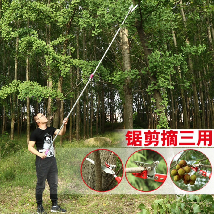 摘枇杷采摘水果荔枝杨梅龙眼摘果伸缩杆高空剪树枝高枝剪剪刀