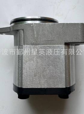 RexrothA8VO55A8VO80A8VO107A8VO140液压泵配件补油泵齿轮泵