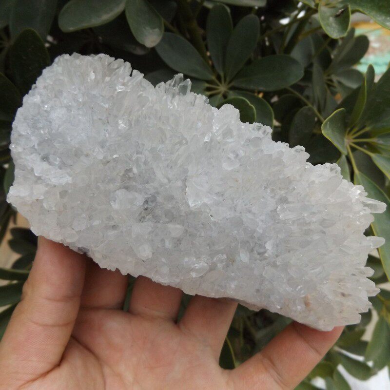 安居珠宝天然白水晶簇原石摆件白水晶菊花水晶簇