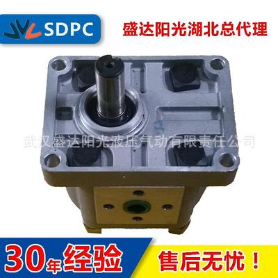 江苏淮安万科合肥长源CBN-E32516mpa高压齿轮泵液压油泵