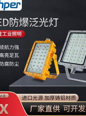 LED防爆灯免维护泛光灯投光灯加油站棚顶灯路灯双拼50W80W100W150