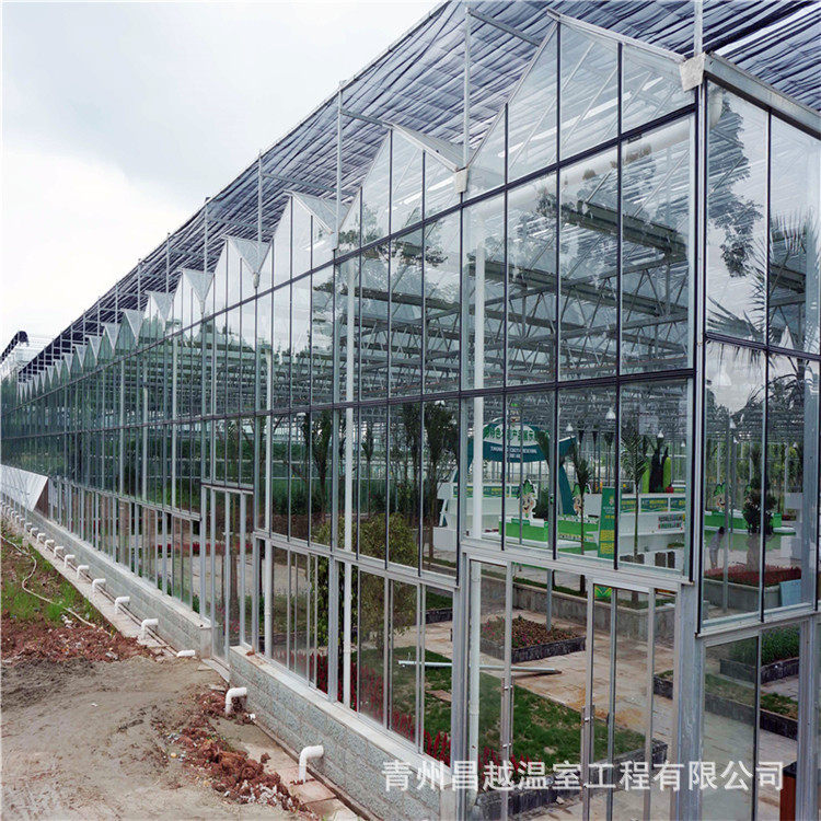 玻璃温室5+6+5中空钢化玻璃覆盖蔬菜水果种植养殖基地