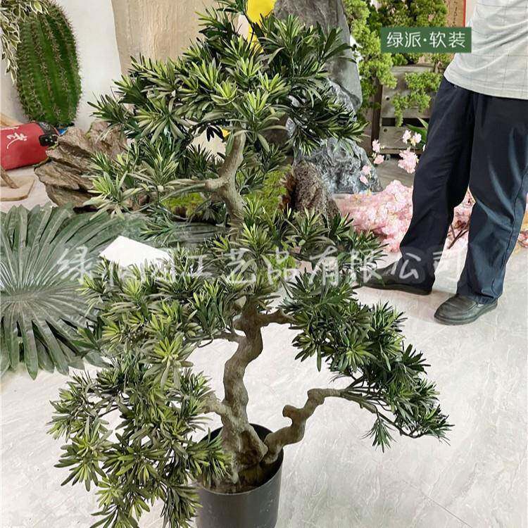 纪念馆大型观赏仿真罗汉松树室外造景专用仿真松树人造绿松树