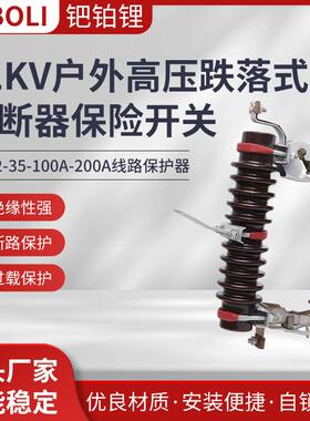 12KV户外高压跌落熔断器RW12-35-100A-200A熔断器保护器开关