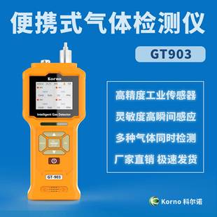 H2S 科尔诺手持式 硫化氢气体检测报警仪泵吸可存数据大屏GT903