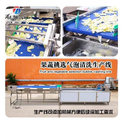 果蔬挑选气泡清洗生产线洗菜机人工台瓜果蔬菜加工