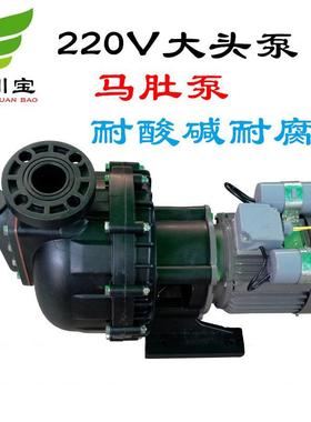 胜川宝1.5KW耐酸碱自吸泵,水泵220Vpp卧式耐腐蚀自吸泵