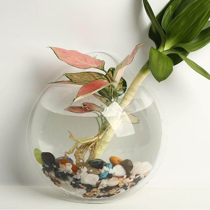 亚克力墙上透明玻璃鱼缸水培绿萝植物花盆创意家具壁挂饰品高透明