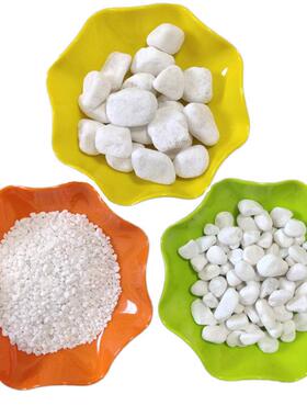 鹅厂家供应园艺877路色白小石头白玉石别墅园林铺白石子白色卵石